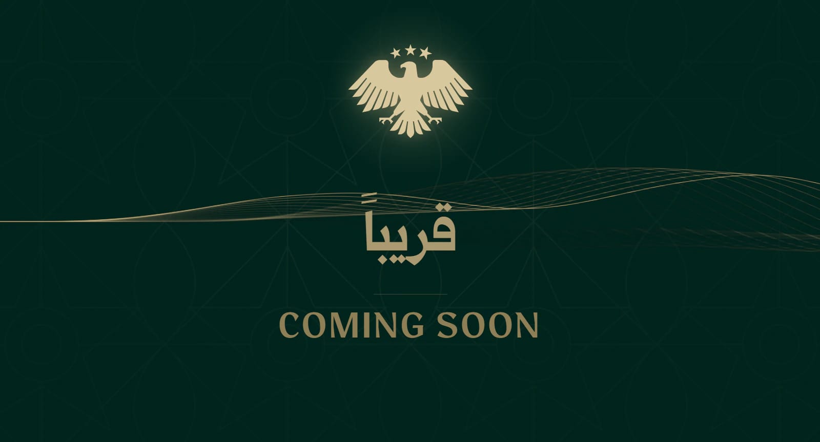E-Visa Platform website preview